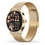 ICE smart 2.0 1.2 Amoled Screen Gold Milanese Strap
