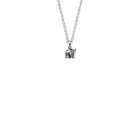 Evolve - NZ Treasures Locket With Chain