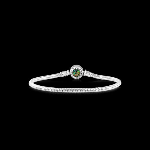 Evolve - Paua Bracelet 20cm