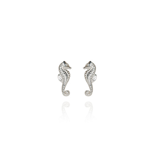 Evolve - Mini Seahorse Studs - (Good Luck)