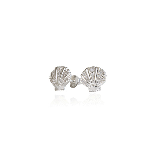 Evolve - Seashell Studs - (Patient)