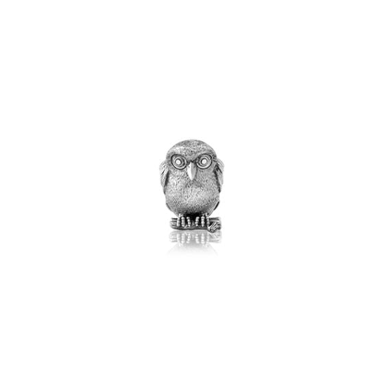 Evolve - Ruru Morepork