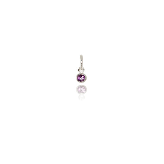 Evolve - February Pendant Charm - (Amethyst)