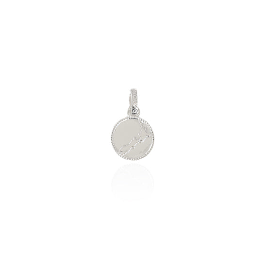 Evolve - NZ Map Coin Pendant Charm - (Cherished)