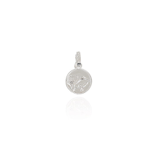 Evolve - Kiwi Coin Pendant Charm - (Iconic)