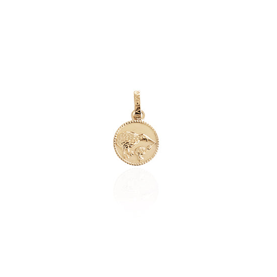 Evolve - Kiwi Coin Pendant Charm - Gold Vermeil