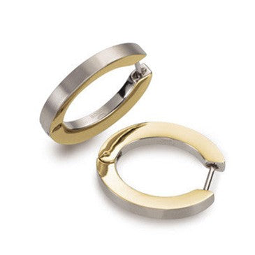 Titanium Hoop Earrings Gold Plated/Satin