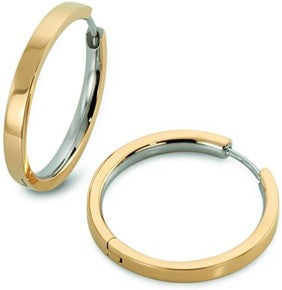 Pure Titanium, Polished, Gold Plated Hoops