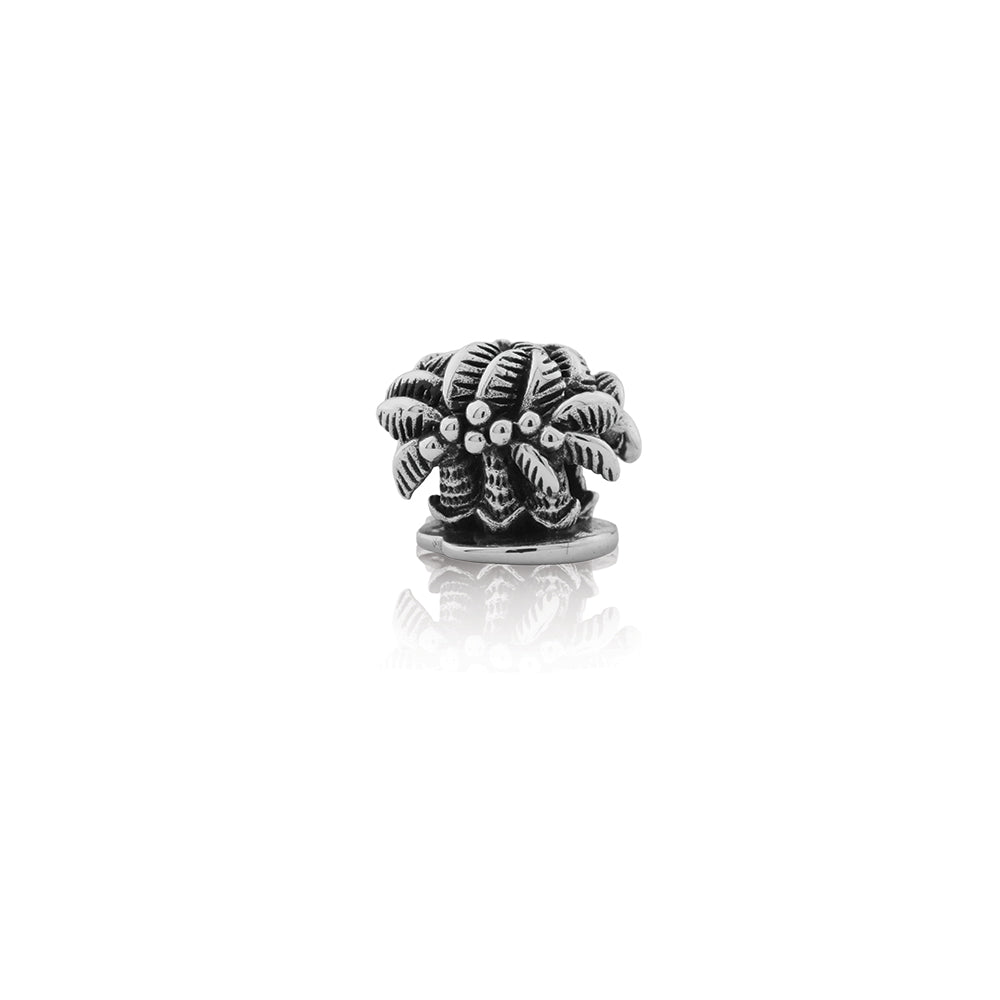 Evolve - Coconut Palm