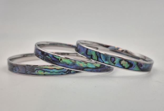 Stainless Steel/Paua Bangle - 8mm Wide - Large