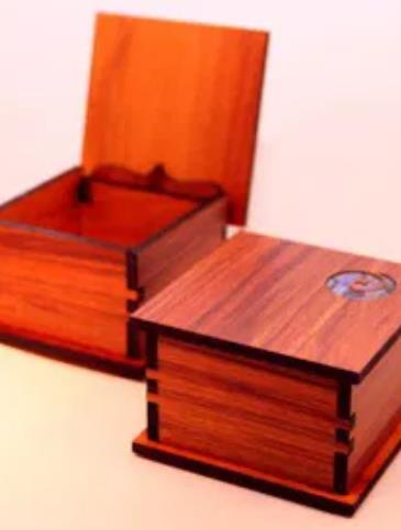 Hinged Koru Box